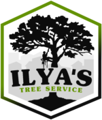 Ilya's Tree Service
