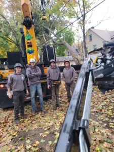 ilya's tree service team in lakewood ohio 44107
