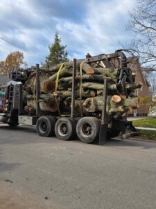 tree removal crane near me