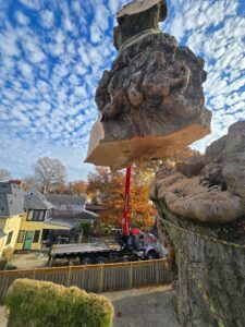 tree service with crane