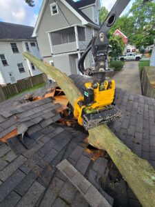 tree service cleveland crane removal