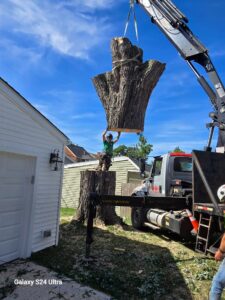 cleveland tree service crane